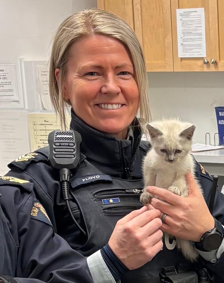 Profile image of Amy Floyd